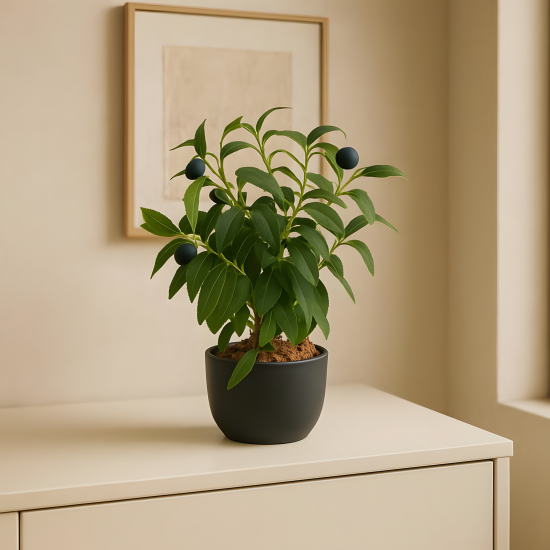 Artificial Plant